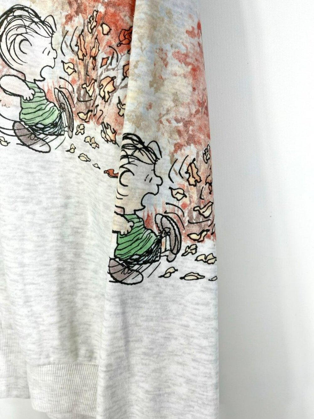 Peanuts Gang Snoopy And Friends Womens Large Autumn Days Ahead Sweatshirt - Picture 11 of 16